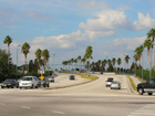 Tampa Neighborhood
